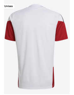 DFB TR JSY WHITE ADIDAS 2