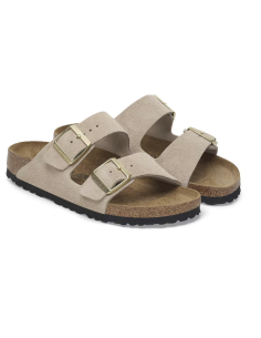 Arizona LEVE Sandcastle...